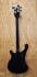 rickenbacker_back_530676715
