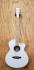 tanglewood_tw4_rlw