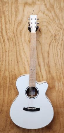 tanglewood_tw4_rlw