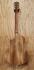 washburn_bt_5_back