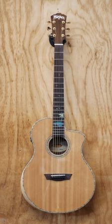 washburn_btsc56sjpg