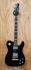 squire_tele_master_built_series